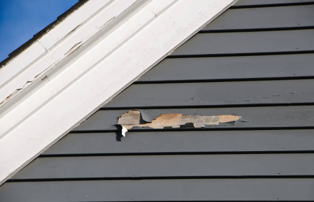 How To Choose The Right Materials for Your Siding Installation in 'Wyboo, SC